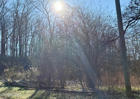 Tiny photo for 117 Hoskins Lane, Clinton, TN 37716 (MLS # 1326183)