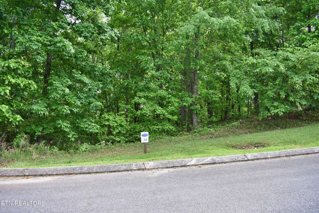 Photo of 450 Hidden Forest Tr, Spring City, TN 37381 (MLS # 1339806)