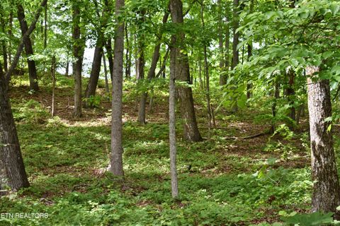 Tiny photo for 450 Hidden Forest Tr, Spring City, TN 37381 (MLS # 1339806)