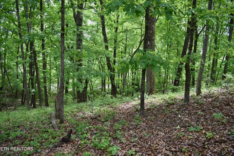 Tiny photo for 450 Hidden Forest Tr, Spring City, TN 37381 (MLS # 1339806)