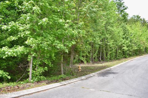 Tiny photo for 450 Hidden Forest Tr, Spring City, TN 37381 (MLS # 1339806)