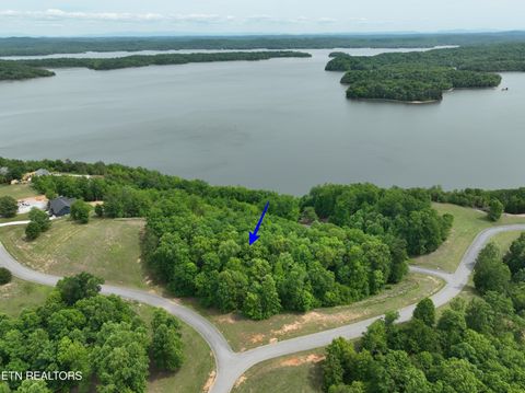 Tiny photo for 450 Hidden Forest Tr, Spring City, TN 37381 (MLS # 1339806)