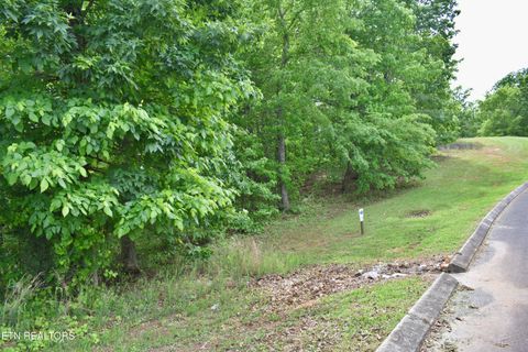 Tiny photo for 450 Hidden Forest Tr, Spring City, TN 37381 (MLS # 1339806)