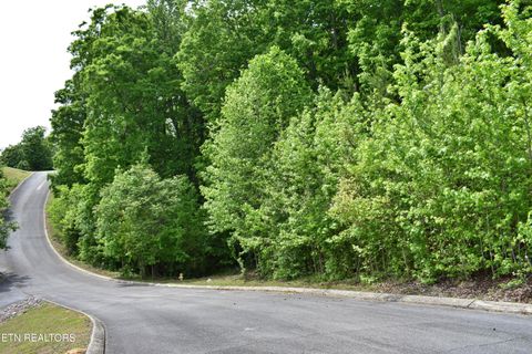 Tiny photo for 450 Hidden Forest Tr, Spring City, TN 37381 (MLS # 1339806)
