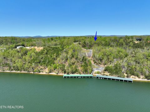 Tiny photo for 450 Hidden Forest Tr, Spring City, TN 37381 (MLS # 1339806)