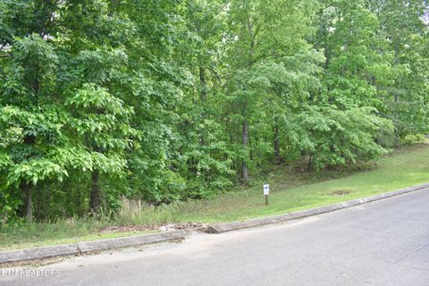 Tiny photo for 450 Hidden Forest Tr, Spring City, TN 37381 (MLS # 1339806)