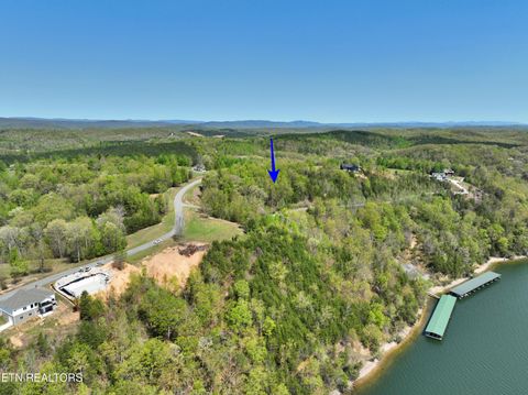 Tiny photo for 450 Hidden Forest Tr, Spring City, TN 37381 (MLS # 1339806)