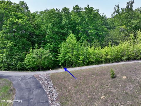 Tiny photo for 450 Hidden Forest Tr, Spring City, TN 37381 (MLS # 1339806)