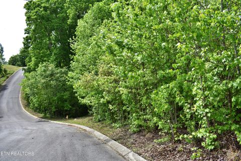 Tiny photo for 450 Hidden Forest Tr, Spring City, TN 37381 (MLS # 1339806)