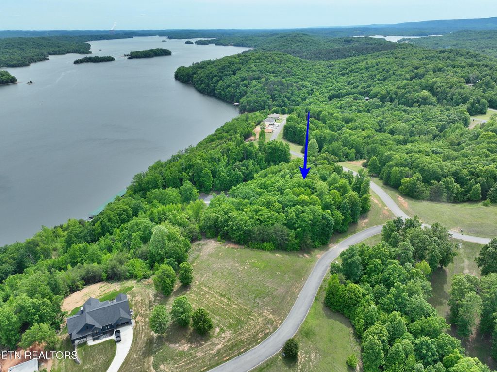 Photo of 450 Hidden Forest Tr, Spring City, TN 37381 (MLS # 1339806)