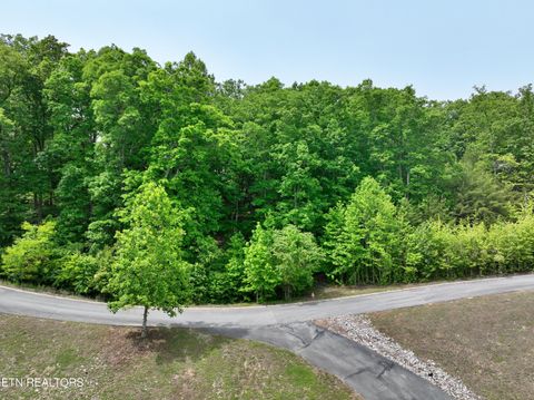 Tiny photo for 450 Hidden Forest Tr, Spring City, TN 37381 (MLS # 1339806)