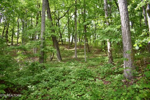 Tiny photo for 450 Hidden Forest Tr, Spring City, TN 37381 (MLS # 1339806)
