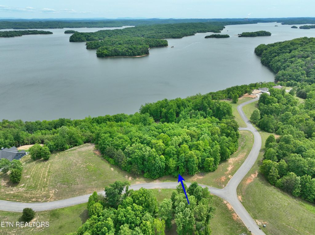Photo of 450 Hidden Forest Tr, Spring City, TN 37381 (MLS # 1339806)