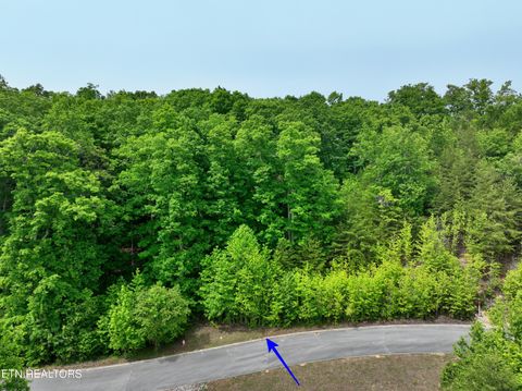 Tiny photo for 450 Hidden Forest Tr, Spring City, TN 37381 (MLS # 1339806)