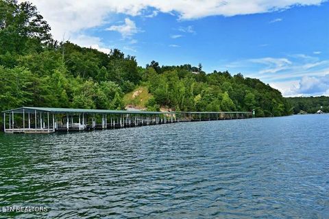 Tiny photo for 450 Hidden Forest Tr, Spring City, TN 37381 (MLS # 1339806)