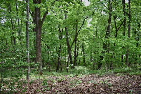 Tiny photo for 450 Hidden Forest Tr, Spring City, TN 37381 (MLS # 1339806)
