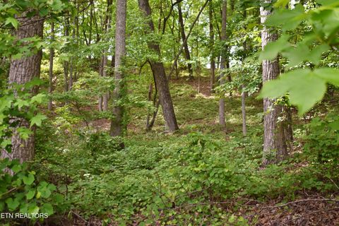 Tiny photo for 450 Hidden Forest Tr, Spring City, TN 37381 (MLS # 1339806)