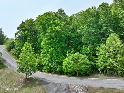 Tiny photo for 450 Hidden Forest Tr, Spring City, TN 37381 (MLS # 1339806)