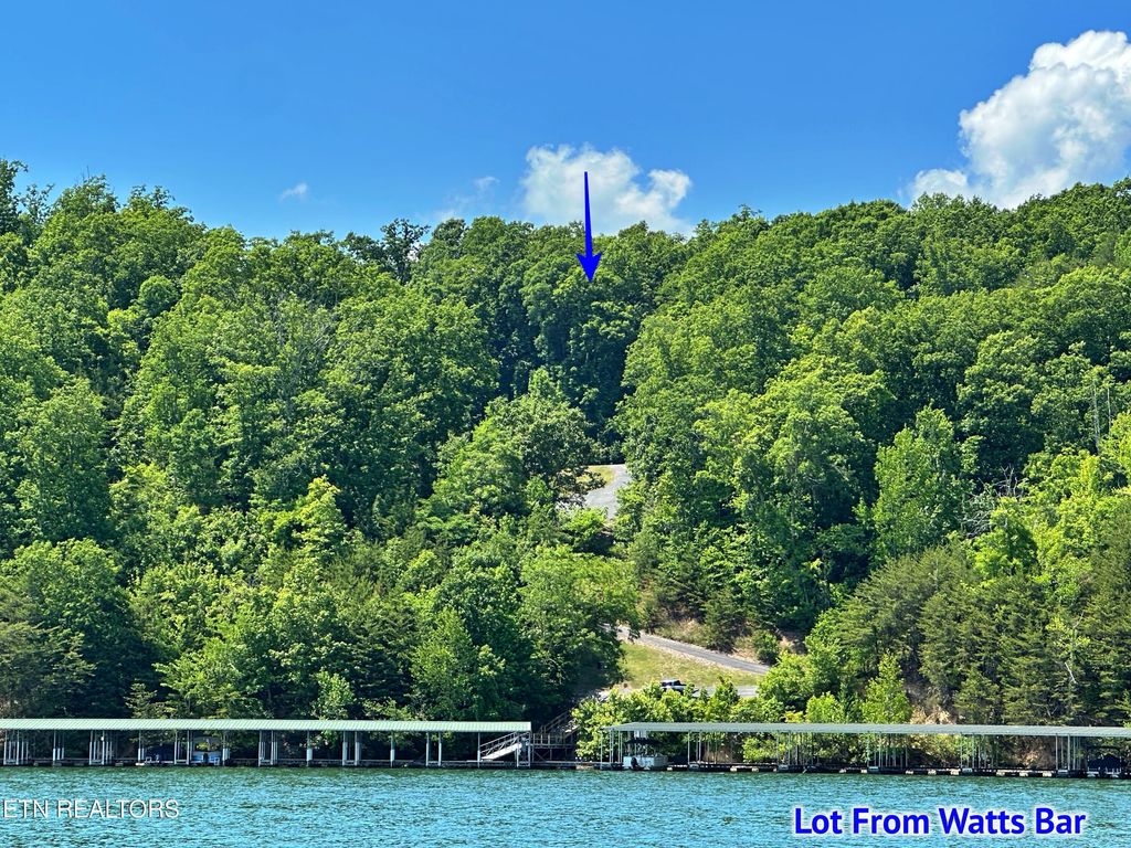 Photo of 450 Hidden Forest Tr, Spring City, TN 37381 (MLS # 1339806)