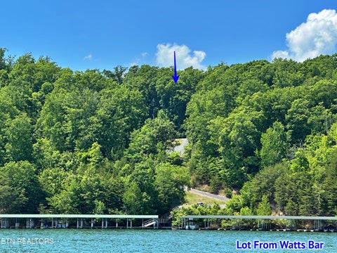 Photo of 450 Hidden Forest Tr, Spring City, TN 37381 (MLS # 1339806)