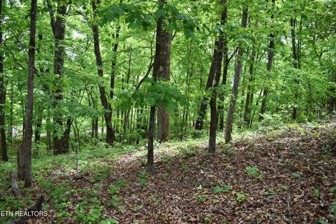 Tiny photo for 450 Hidden Forest Tr, Spring City, TN 37381 (MLS # 1339806)