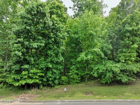 Tiny photo for 450 Hidden Forest Tr, Spring City, TN 37381 (MLS # 1339806)