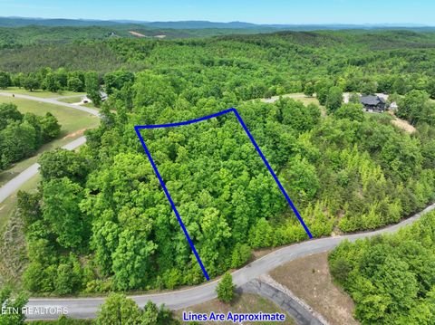 Tiny photo for 450 Hidden Forest Tr, Spring City, TN 37381 (MLS # 1339806)