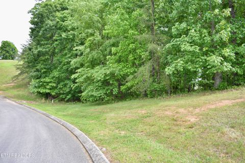 Tiny photo for 450 Hidden Forest Tr, Spring City, TN 37381 (MLS # 1339806)