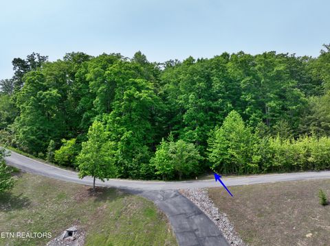 Tiny photo for 450 Hidden Forest Tr, Spring City, TN 37381 (MLS # 1339806)