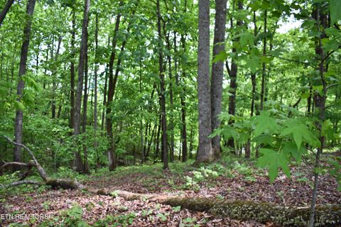 Tiny photo for 450 Hidden Forest Tr, Spring City, TN 37381 (MLS # 1339806)