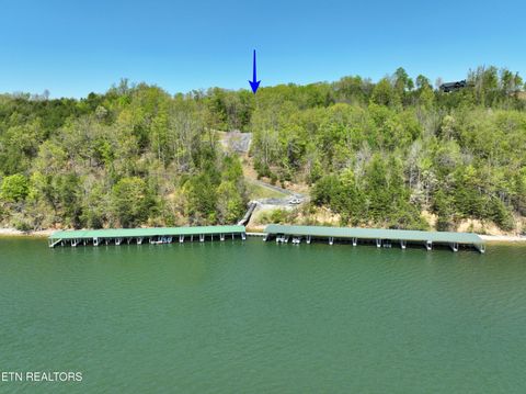 Tiny photo for 450 Hidden Forest Tr, Spring City, TN 37381 (MLS # 1339806)