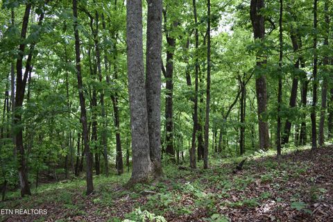 Tiny photo for 450 Hidden Forest Tr, Spring City, TN 37381 (MLS # 1339806)