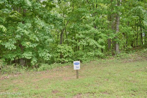 Tiny photo for 450 Hidden Forest Tr, Spring City, TN 37381 (MLS # 1339806)
