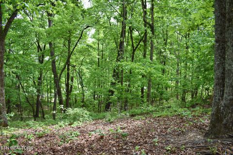 Tiny photo for 450 Hidden Forest Tr, Spring City, TN 37381 (MLS # 1339806)