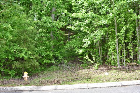Tiny photo for 450 Hidden Forest Tr, Spring City, TN 37381 (MLS # 1339806)