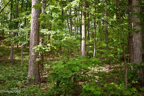 Tiny photo for 450 Hidden Forest Tr, Spring City, TN 37381 (MLS # 1339806)