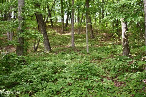 Tiny photo for 450 Hidden Forest Tr, Spring City, TN 37381 (MLS # 1339806)