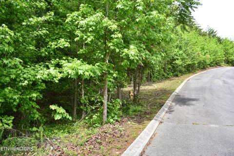 Tiny photo for 450 Hidden Forest Tr, Spring City, TN 37381 (MLS # 1339806)