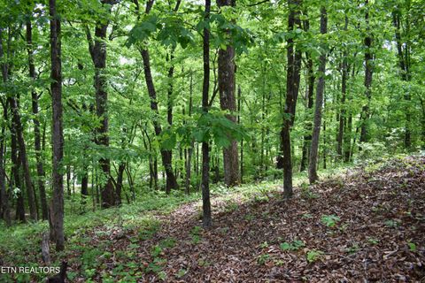 Tiny photo for 450 Hidden Forest Tr, Spring City, TN 37381 (MLS # 1339806)