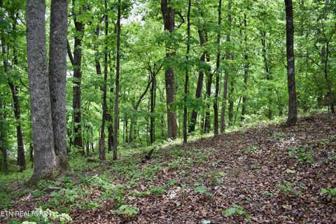 Tiny photo for 450 Hidden Forest Tr, Spring City, TN 37381 (MLS # 1339806)
