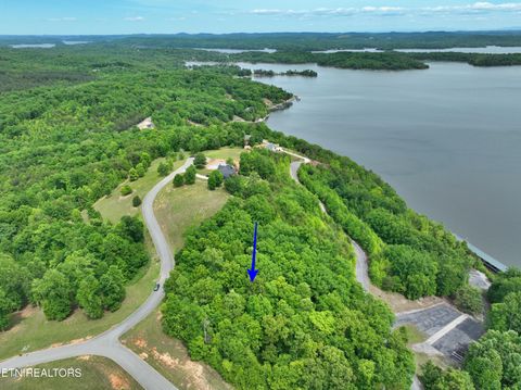 Tiny photo for 450 Hidden Forest Tr, Spring City, TN 37381 (MLS # 1339806)