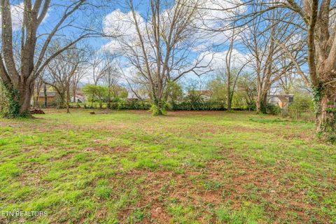 Tiny photo for 2116 Price Ave, Knoxville, TN 37920 (MLS # 1333782)