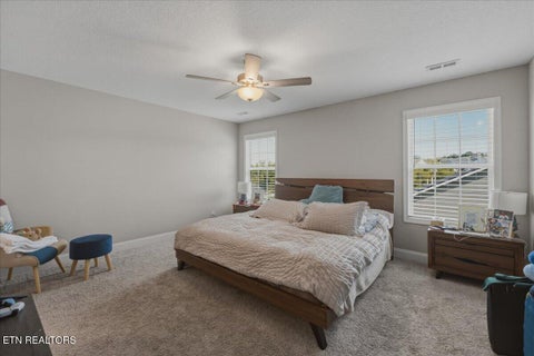 Tiny photo for 11317 Flame Willow LN, Knoxville, TN 37932 (MLS # 1359283)