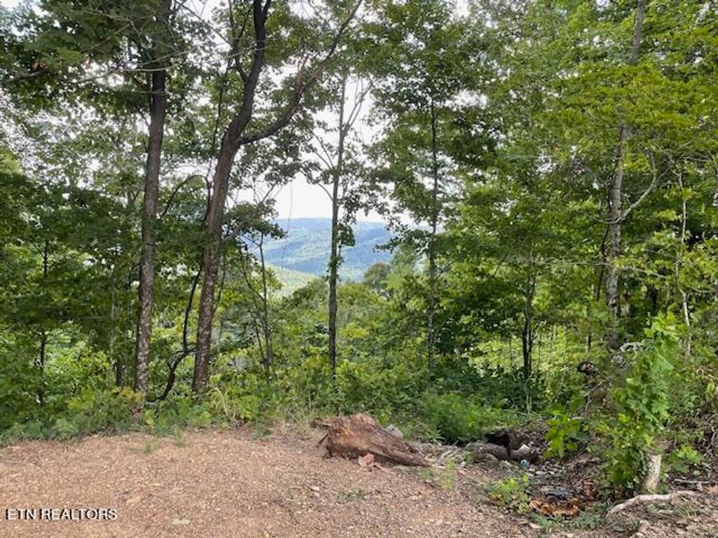 Photo of Buffalo Rd/Stanley Creek, Huntsville, TN 37756 (MLS # 1272187)