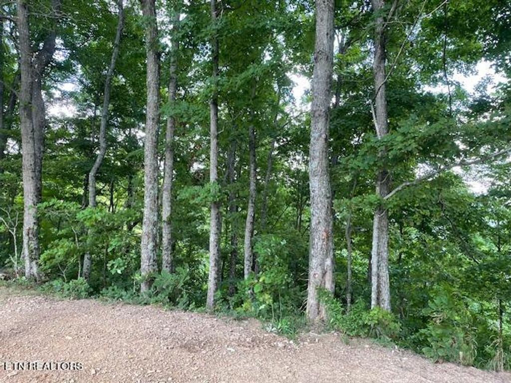 Photo of Buffalo Rd/Stanley Creek, Huntsville, TN 37756 (MLS # 1272187)