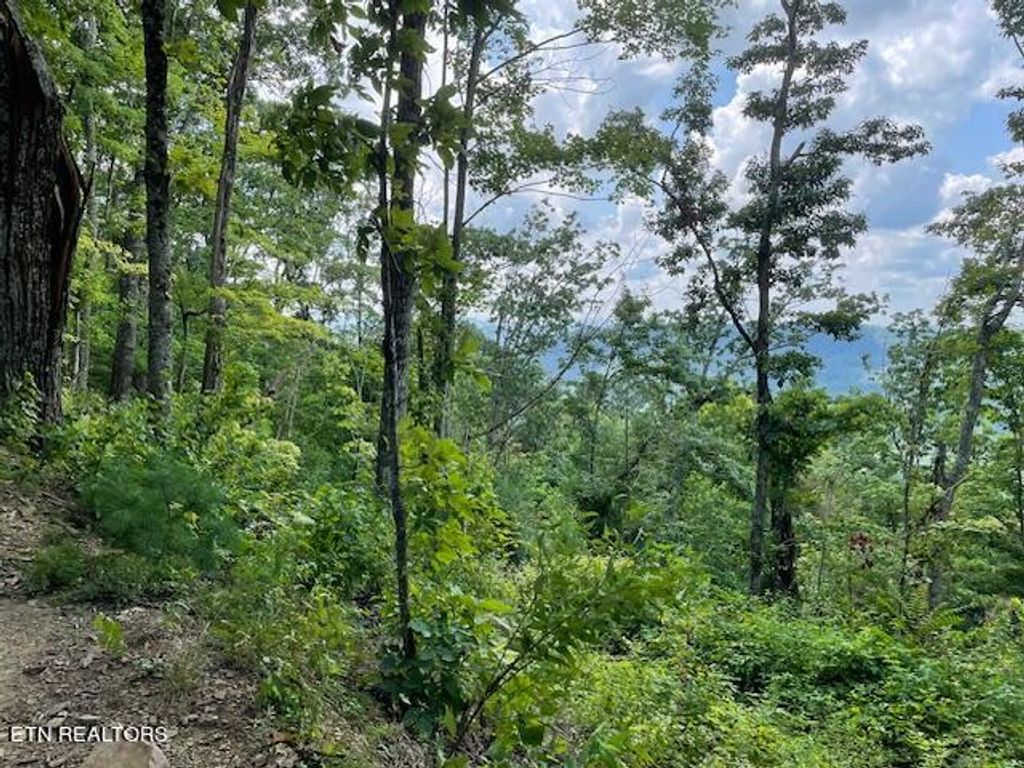 Photo of Buffalo Rd/Stanley Creek, Huntsville, TN 37756 (MLS # 1272187)
