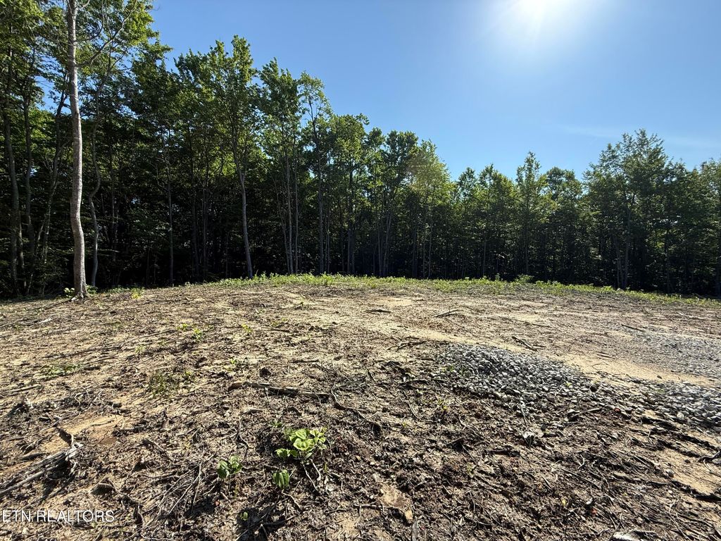 Photo of 969 Lewallen Rd, Sunbright, TN 37872 (MLS # 1344157)