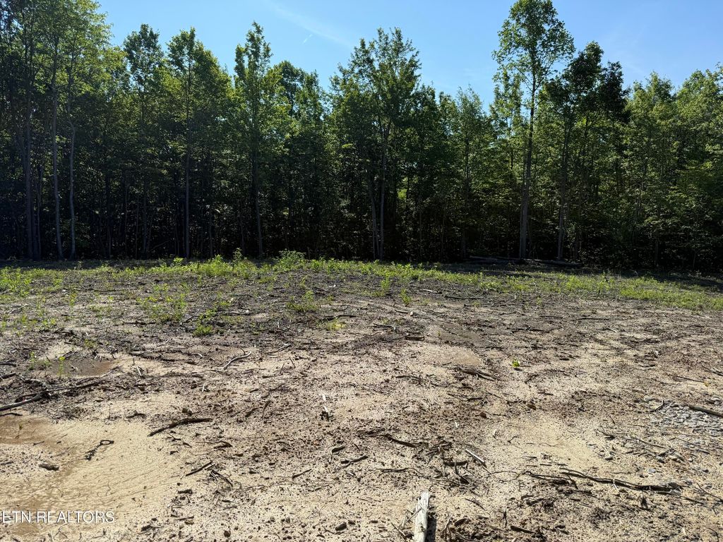 Photo of 969 Lewallen Rd, Sunbright, TN 37872 (MLS # 1344157)