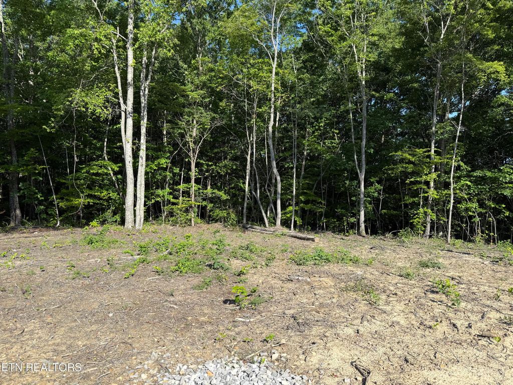 Photo of 969 Lewallen Rd, Sunbright, TN 37872 (MLS # 1344157)