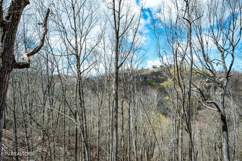 Tiny photo for 921 Statham Way #1, Gatlinburg, TN 37738 (MLS # 1349846)